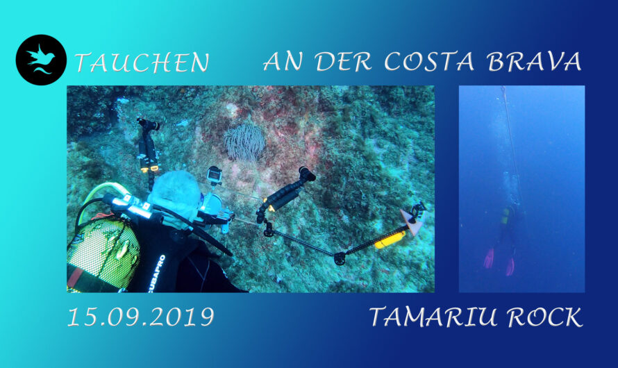 15.09.2019 : Tamariu Rock : Tauchen an der Costa Brava