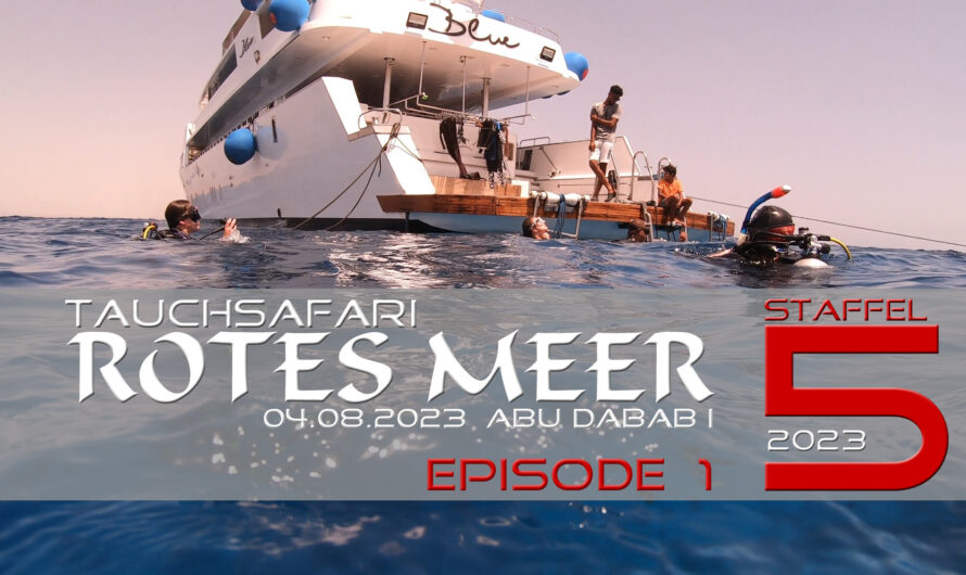 Tauchsafari Rotes Meer 2023 – Staffel 5 – M/Y Blue