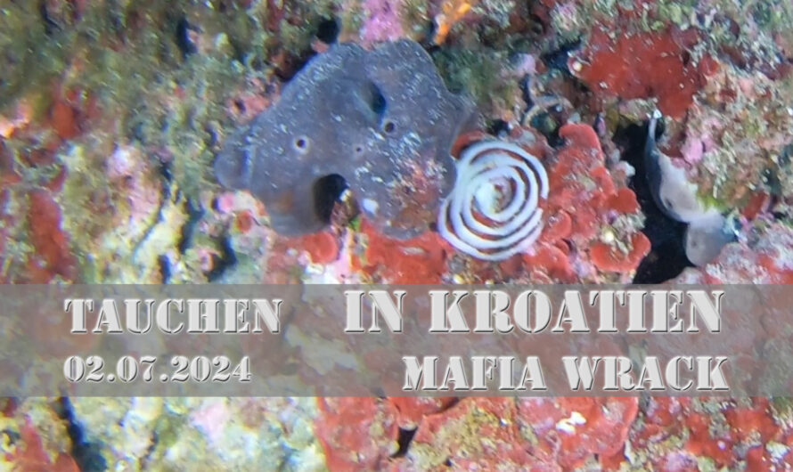 Tauchen in Kroatien